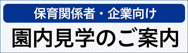 保育関係者・学生・企業向け 園内見学のご案内